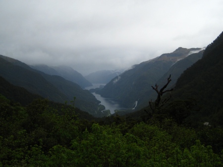 Our first view of Doubtful Sound from Wilmot Pass. It was cloudy for our entire visit and rainy off and on, but that only made it seem more wild and ethereal.